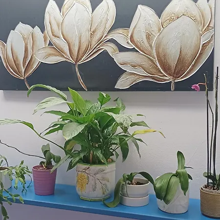 Il Giardino Dei Semplici Bonate Sopra Bonate di Sopra